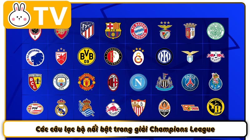 Các câu lạc bộ nổi bật trong giải Champions League