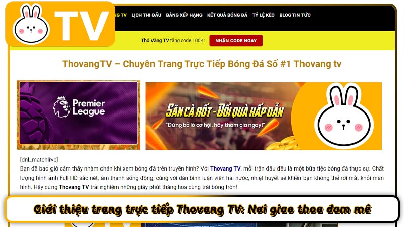 Giới thiệu trang trực tiếp Thovang TV: Nơi giao thoa đam mê