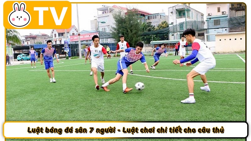 Luật bóng đá sân 7 người