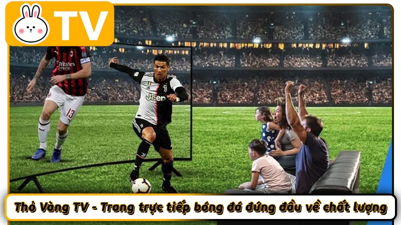 Thỏ Vàng TV - Trang trực tiếp bóng đá đứng đầu về chất lượng