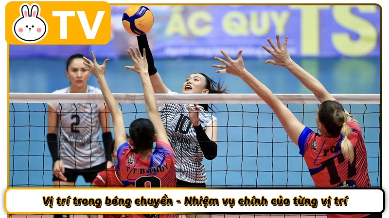 Vị trí trong bóng chuyền